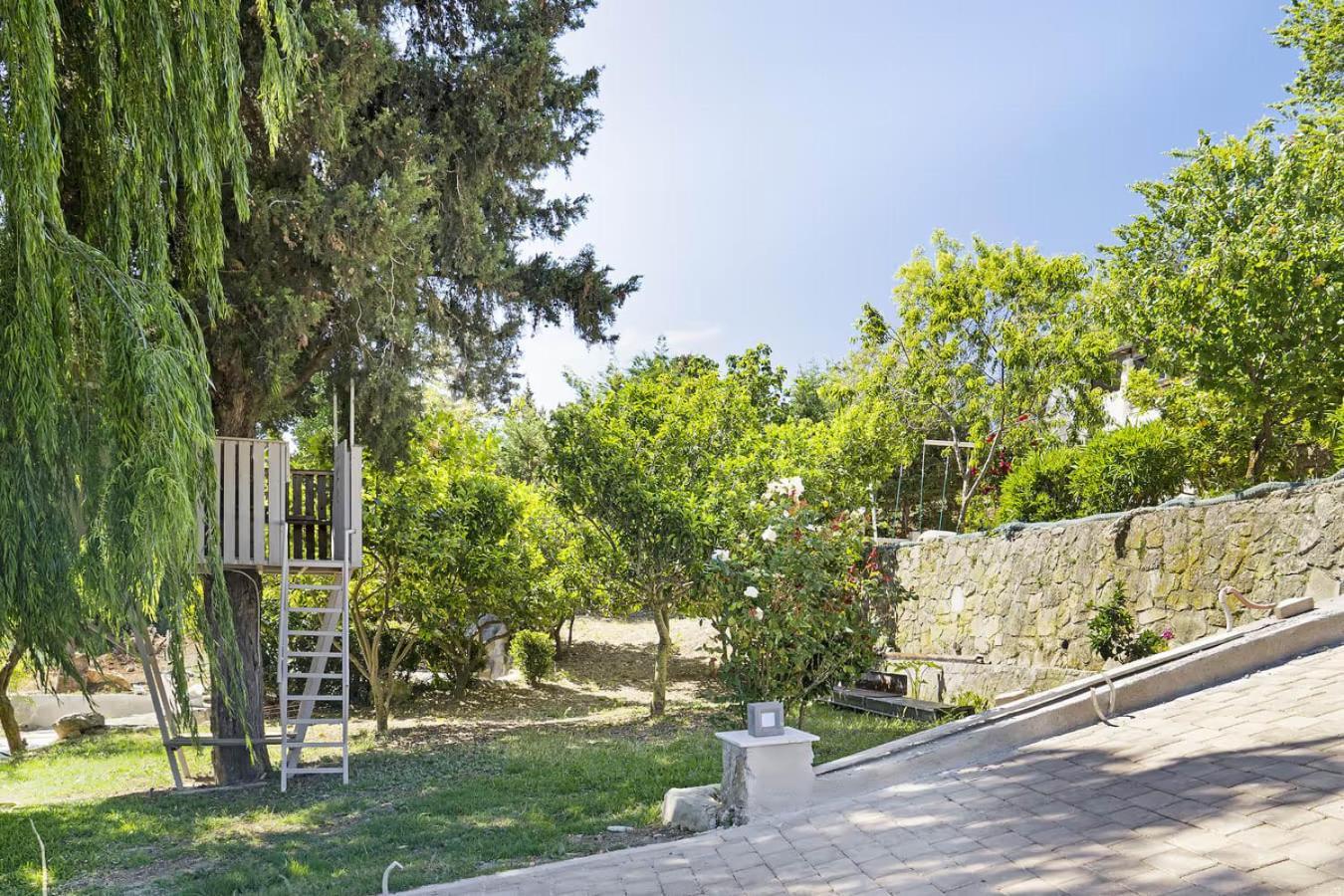 Paradiso Verde Ликсури Экстерьер фото